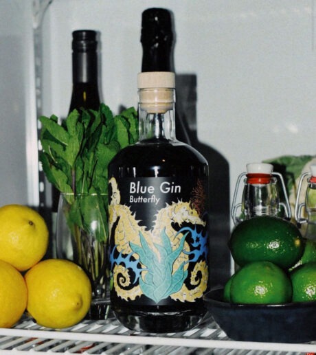 Bredase Blue Gin Butterfly ontworpen door Joeri Ista 70cl
